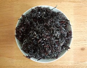 Purple Crispus Chondrus seaweed
